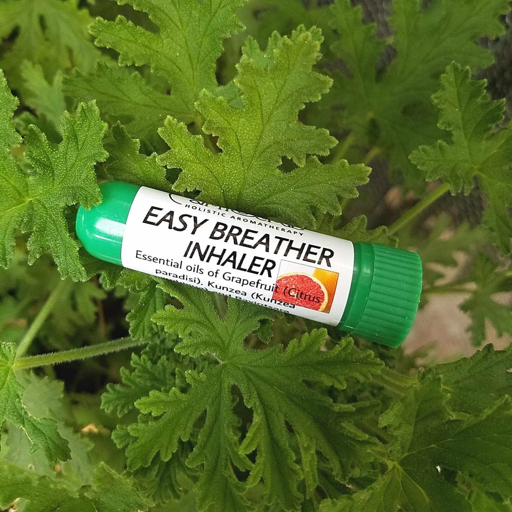 ALLERGY RELIEF Inhaler