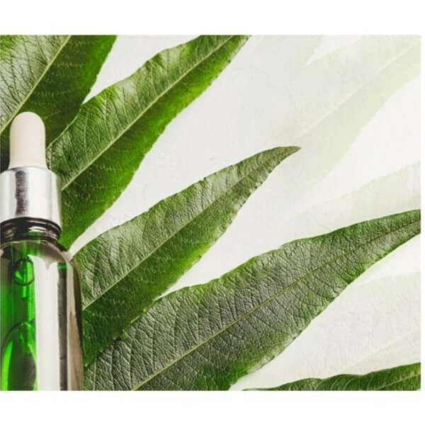 Green hair growth serum bottle surrounded by fresh leaves for natural hair care.