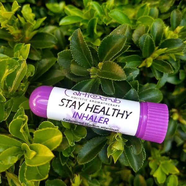 Stay Healthy inhaler by Earth Scrub surrounded by green leaves, featuring essential oils for nasal decongestion.